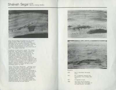 Shalvah Segal: The Judean Wilderness, Oils on paper